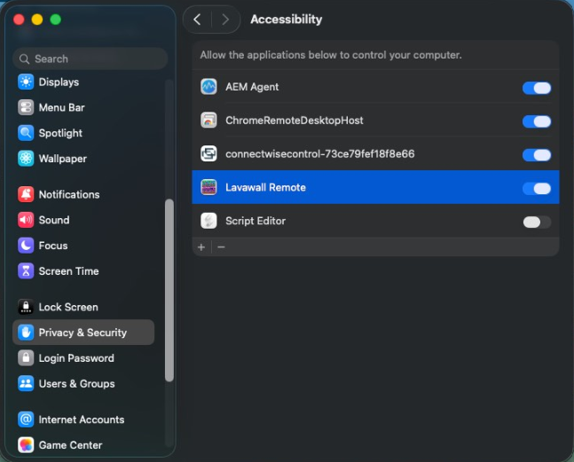 Toggle on Accessibility for Lavawall Remote