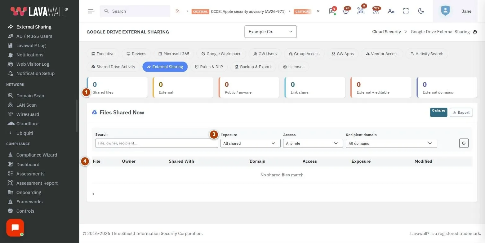 The Google Drive External Sharing page, with the summary tiles, top external domains, filters and files shared now numbered 1 to 4.