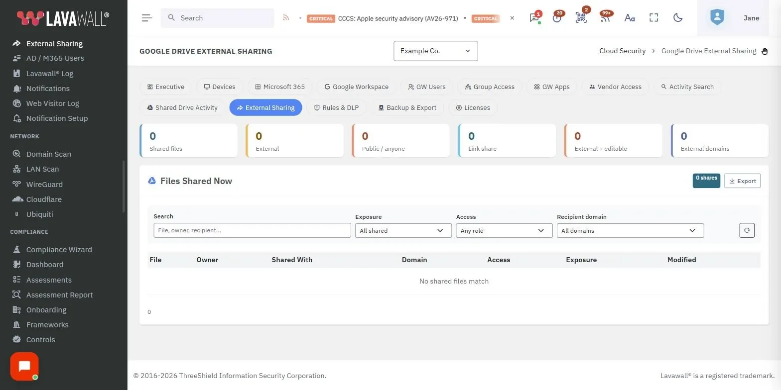 The Google Drive External Sharing page in the Lavawall console, showing the summary tiles, top external domains, filters and files shared now, with example data.
