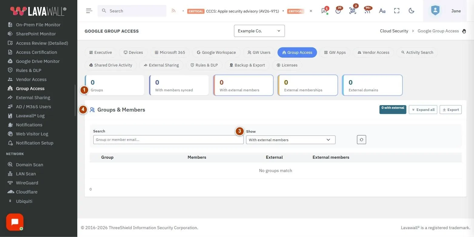 The Google Group Access page, with the summary tiles, external member domains, filters and groups & members numbered 1 to 4.